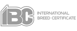 IBC